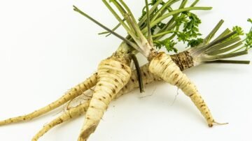 Pietruszka korzeń – właściwości lecznicze i odżywcze