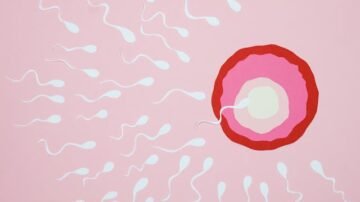 Sperma – skład, właściwości i wpływ męskiego nasienia na organizm kobiety