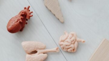 Perforacja wrzodów żołądka – objawy, które powinny niepokoić