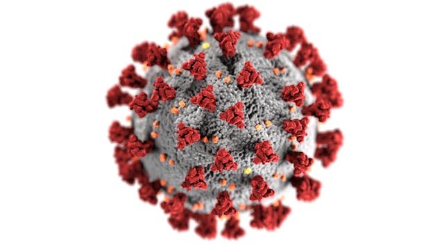 Wirus Borna w Niemczech – śmiertelne przypadki i niepokój epidemiologów