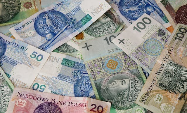 Świadczenie wspierające w 2025 roku – nawet 4133 zł miesięcznie dla osób z niepełnosprawnościami