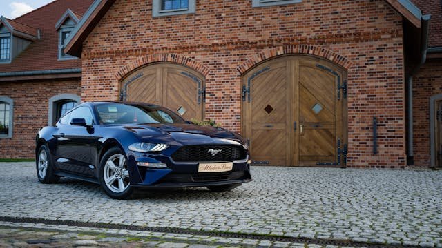 Kamil Labudda – kim jest znany youtuber Budda? Wiek, wzrost i życie prywatne